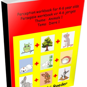 Perception workbook for 4-6 year olds / Persepsie werkboek vir 4-6 jariges - Andri Roeder
