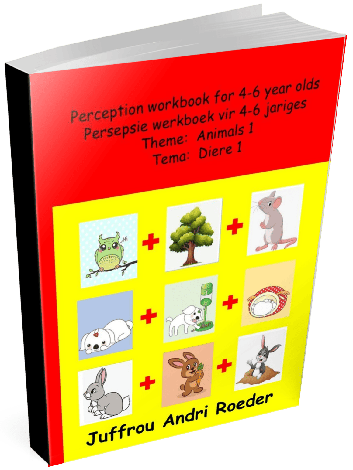 Perception workbook for 4-6 year olds / Persepsie werkboek vir 4-6 jariges - Andri Roeder